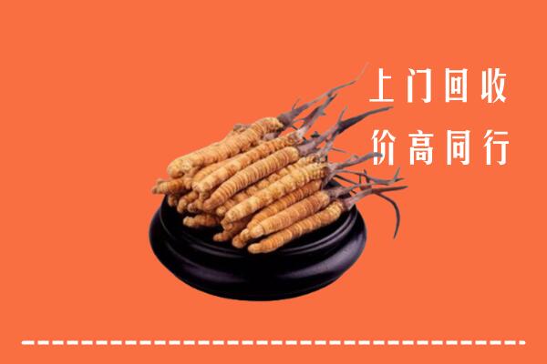 高价求购：潮州潮安回收散虫草