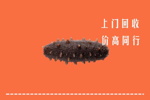 高价求购：潮州潮安回收海参