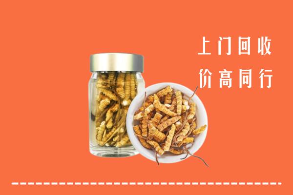 潮州潮安回收冬虫夏草