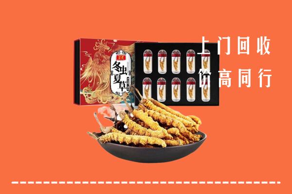 潮州潮安回收虫草